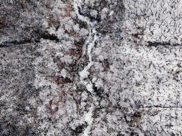 [포토뉴스] 백색의 상흔을 품고, 회복의 시간을 준비하는 산