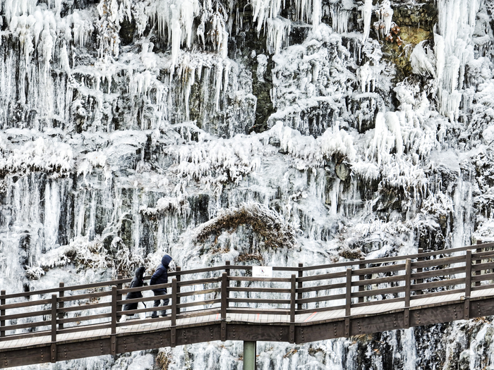 [포토뉴스] 한파 몰아친 새해…송해공원 고드름 절벽 장관