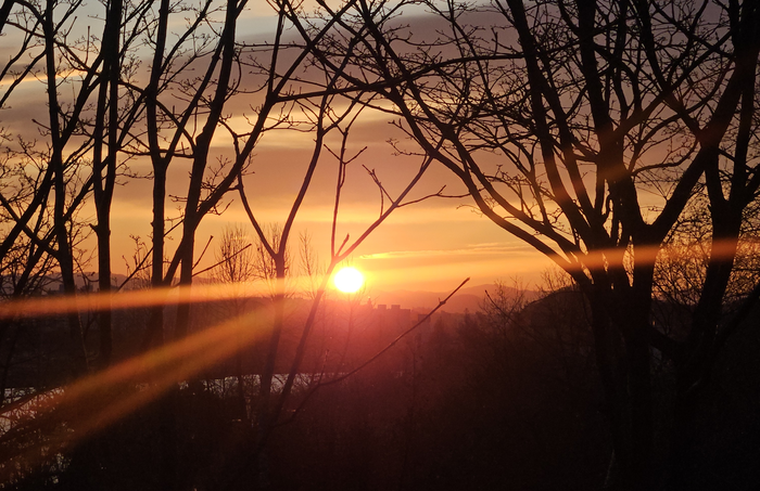 병오년을 맞이한 2026년 1월 1일 오전 7시 40분쯤 대구 동촌유원지 해맞이공원에서 떠오른 첫 해. 서민지기자 mjs858@yeongnam.com