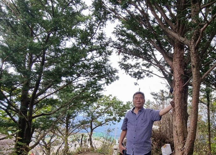 김태락옹이 2024년 팔공산 제천단에 식수한 주목을 배경으로 포즈를 취하고 있다. 2004년 심은 주목들은 이제 군락을 이루고 있다.  <김태락옹 제공>