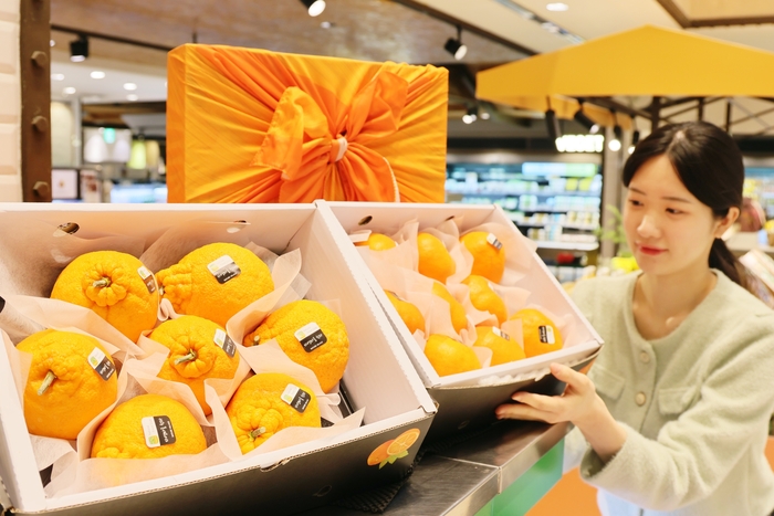 대구지역 백화점, 설 선물세트 사전 예약 시작