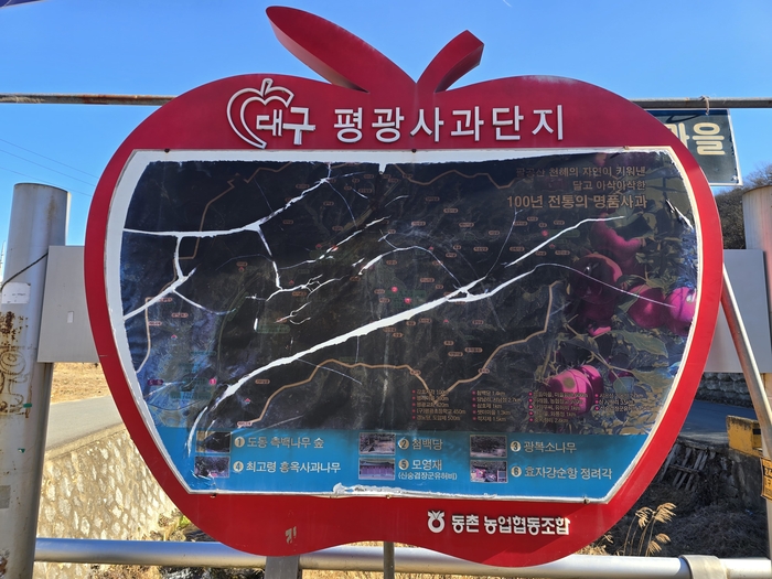 대구 동구 평광사과단지 입구에 설치된 안내문. 김현목 기자