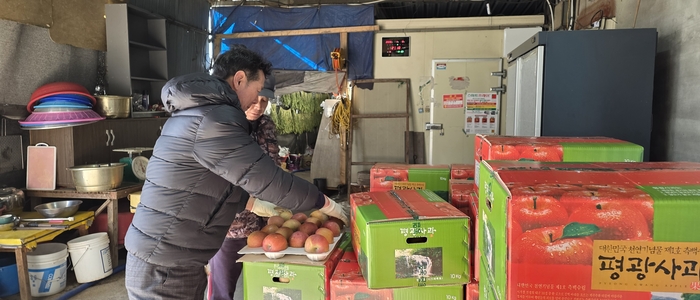 지난 8일 대구 동구 평광마을에서 사과를 포장하고 있는 모습. 김현목 기자