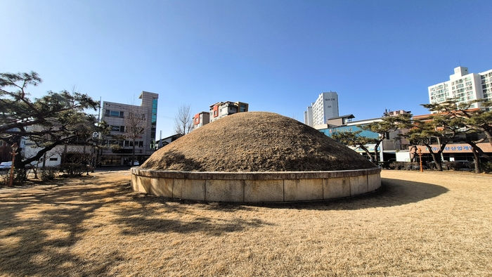 아파트와 상가 사이에 자리한 경주 용강동 고분 봉분(경주시 용강동 1130-2). 주민들 사이에서는 개무덤으로 불렸던 이 고분은 통일신라 진골 귀족의 무덤으로 추정된다. 장성재기자 blowpaper@yeongnam.com