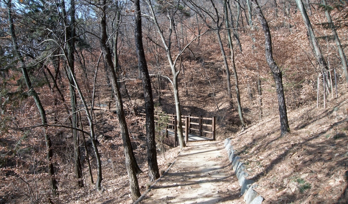 크고 작은 골짜기마다 데크 다리가 놓여 있다. 비가 온 다음날이면 물소리를 들을 수 있다고 한다.