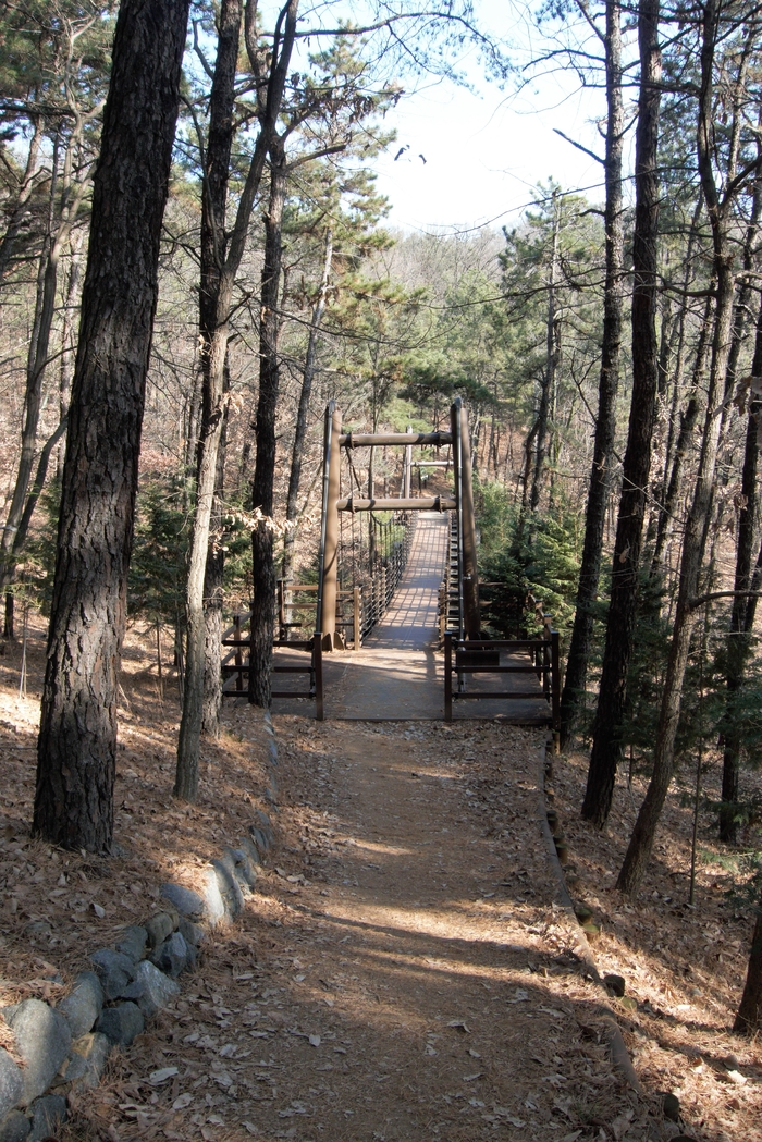 선원공원 어린이 숲속 놀이터에서 마을 쪽으로 잠시 내려가다 선원출렁다리를 건너면 다시 완연한 숲길로 접어든다. 자락길에는 2개의 출렁다리가 설치되어 있다.
