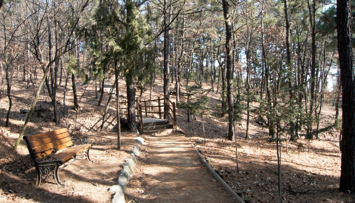 와룡산 자락길은 산자락을 따라 수평형 산책로로 조성되어 있다.