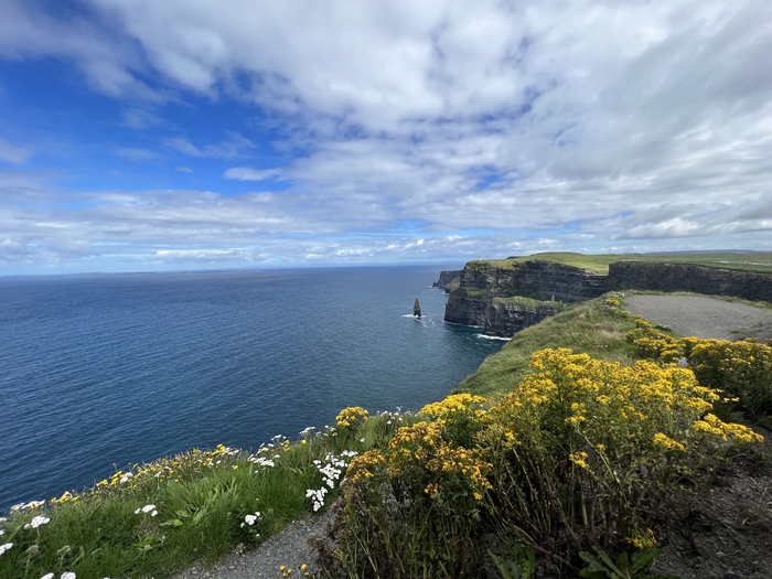 아일랜드 서쪽 끝 모허절벽. 이걸 보러 간다고 코로나 검사를 하지 않아 탑승을 거절당했다. 그러나 다시 그 시간으로 돌아가더라도 난 모허로 간다. 모허엔 야생화가 많이 피었고 바람도 세게 불었다. 그 어떤 판단이나 욕심이 다 날아갈 만큼 바람이 거셌다. 이 야생화들을 꺾어 마리아나에게 줄 수 있을까?