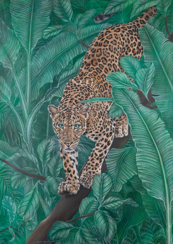 강현경 바라보다