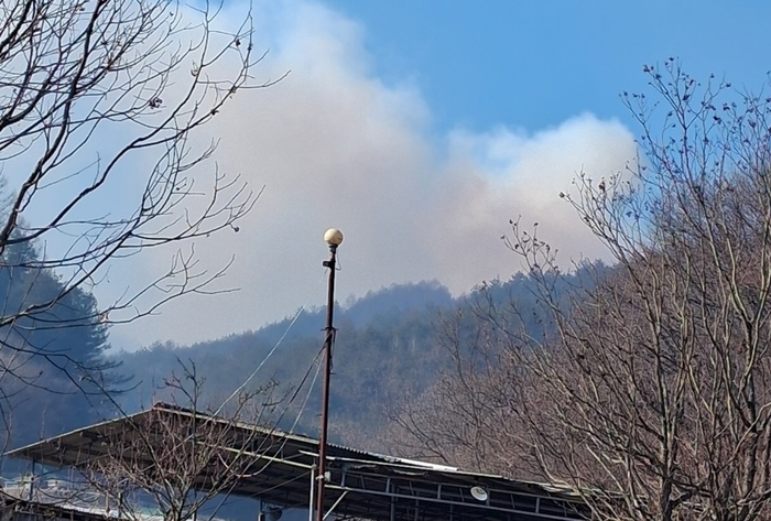 봉화 재산면서 산불 발생…산림당국 진화 총력