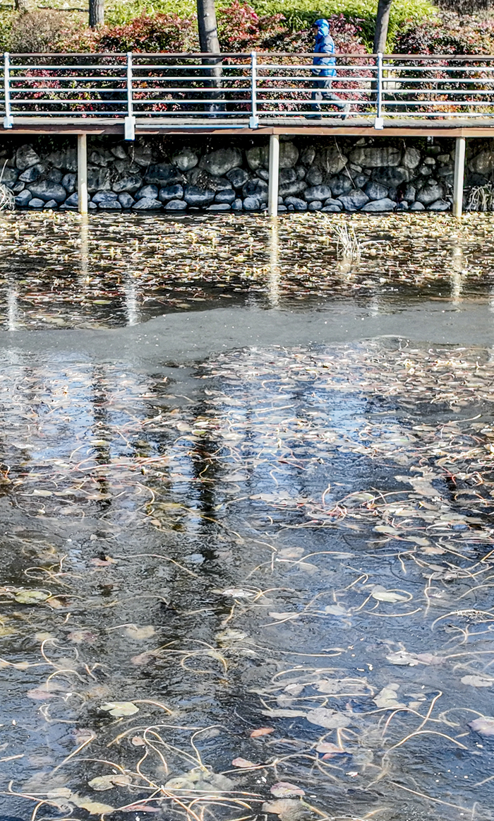 이번 주말 대구경북은 추운 날씨 탓에 내륙을 중심으로 눈이 내리는 곳이 있겠고, 빙판길과 도로 살얼음이 나타나는 곳이 많겠다. 당분간 대구경북 대부분 지역의 아침 기온이 -10℃ 안팎을 보이는 가운데 바람도 강해 체감온도는 더욱 낮아 매우 춥겠다. <영남일보DB>