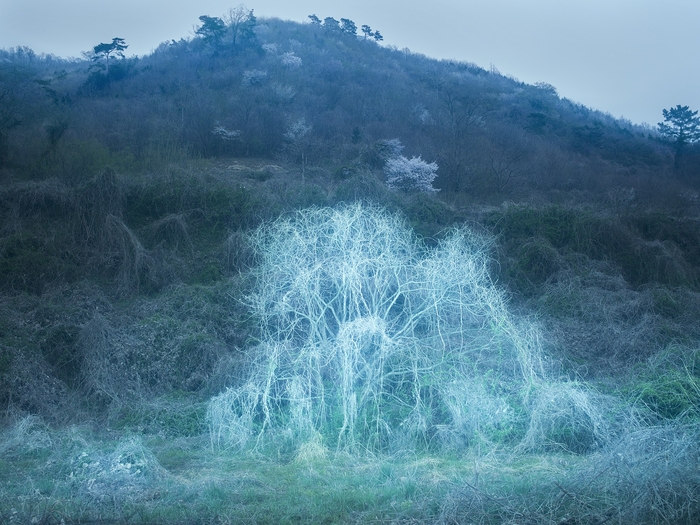 화순, 전남, 2025, 90x120㎝