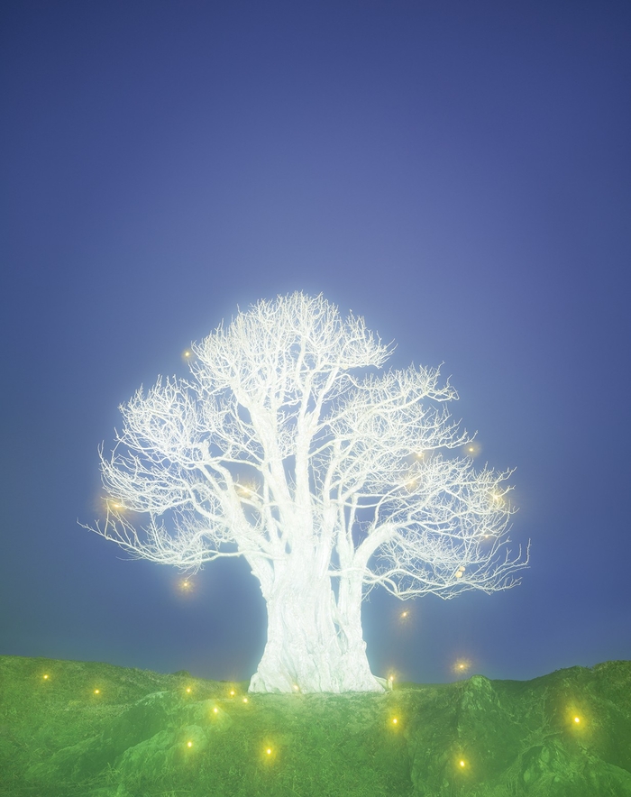 사유원, 군위, 대구, 2025, 152x120㎝