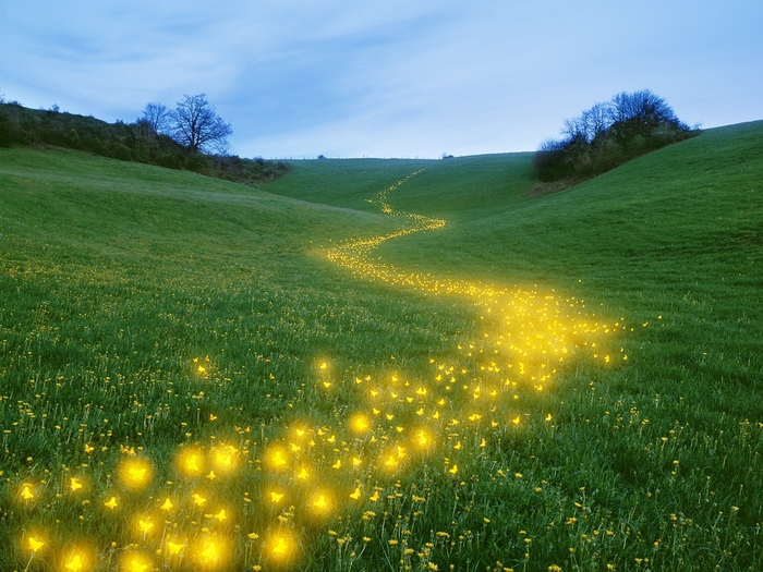 산티아고 순례길, Spain, 2019, 120x160㎝