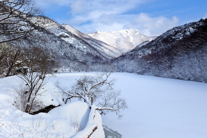 청송군 주왕산 주산지 겨울 풍경 <청송군 제공>