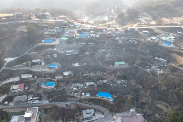 지난해 3월 발생한 초대형 산불로 해안 마을 전체가 피해를 입은 영덕읍 석리. 영남일보 DB