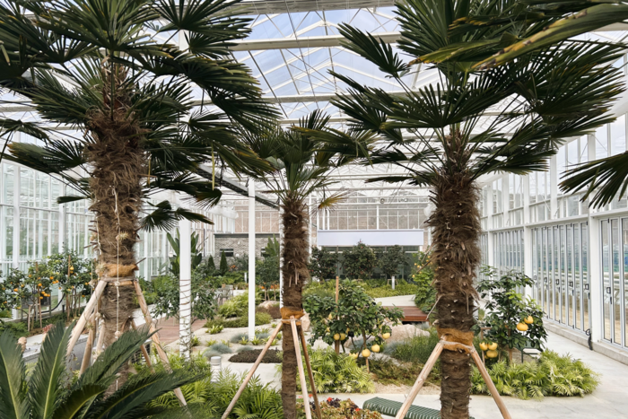 경주 내남면 신농업혁신타운에 조성된 아열대농업관에서는 열대작물 전시와 함께 원예치유 프로그램 등도 운영하고 있다. <경주시 내남면 제공>