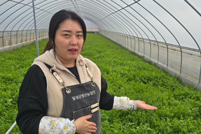 청년창업농 김연실 대표가 지난 19일 대구 달성군 자신의 비닐하우스에서 미나리 재배 과정을 설명하고 있다. 김현목기자