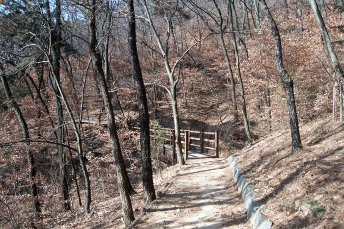 크고 작은 골짜기마다 데크 다리가 놓여 있다. 비가 온 다음날이면 물소리를 들을 수 있다고 한다. 류혜숙 전문기자