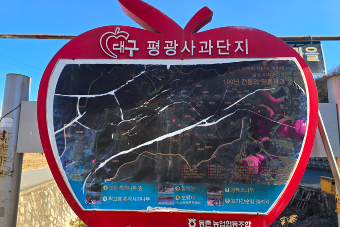 대구 동구 평광사과단지 입구에 설치된 안내문. 김현목기자