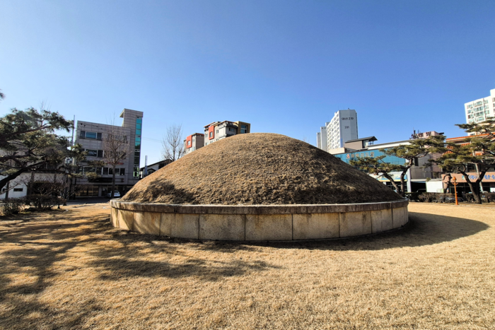 아파트와 상가 사이에 자리한 경주 용강동 고분 봉분(경주시 용강동 1130-2). 주민들 사이에서는 개무덤으로 불렸던 이 고분은 통일신라 진골 귀족의 무덤으로 추정된다. 장성재기자 blowpaper@yeongnam.com