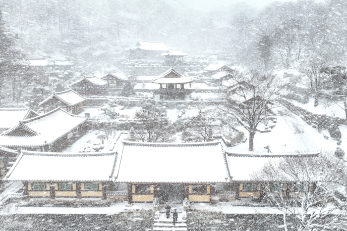 10일 경북 영주시 천년고찰 부석사에 많은 눈이 내려 전각과 마당이 하얀 설경으로 뒤덮여 있다. 대구지방기상청은 한파가 이어지다가 15일부터 기온이 오르며 포근한 날씨로 접어들 것으로 예보했다.
이현덕기자 lhd@yeongnam.com