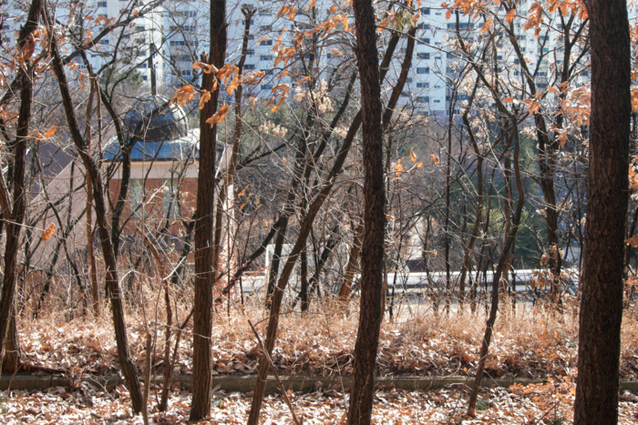 산책로는 대부분 흙길로 슬렁슬렁 나아간다. 숲 너머 아파트와 학교가 지척으로 가깝다. 성서성당의 십자가 돔 지붕이 이국의 그림 같다. 류혜숙 전문기자