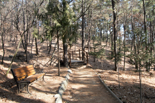 와룡산 자락길은 산자락을 따라 수평형 산책로로 조성되어 있다. 류혜숙 전문기자