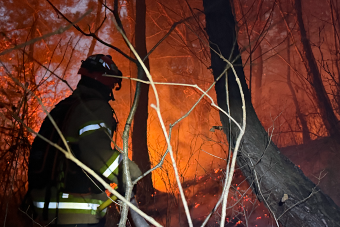 지난 10일 오후 의성군 의성읍 비봉리 일대 야산에서 산불이 발생하자, 경북소방본부 산불신속대응팀이 화마를 뚫고 진화에 나서고 있다. <경북소방본부 제공>