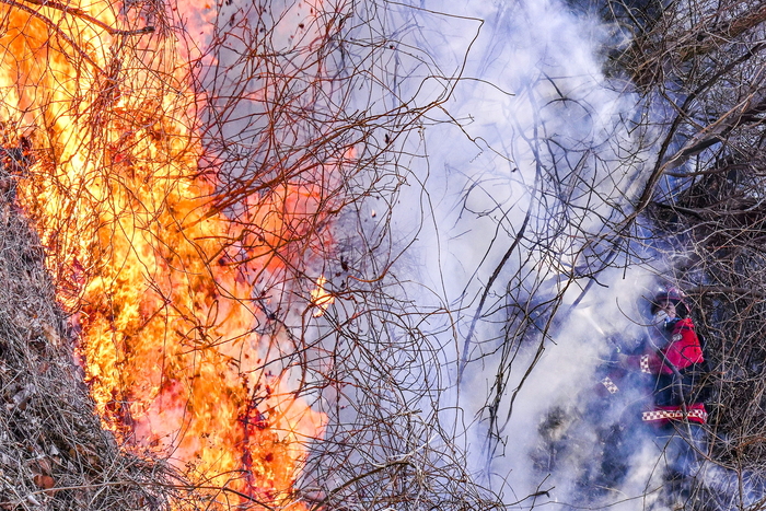 8일 경북 경주시 문무대왕면 입천리 산불 현장에서 산림청 산불재난특수진화대 대원들이 강한 바람 속에서 확산하는 불길을 차단하며 진화 작업을 벌이고 있다. 전날 발생한 산불이 이틀째 이어지며 국가소방동원령이 발령된 가운데, 산림·소방 당국은 헬기와 인력을 집중 투입해 주불 진화에 총력을 기울이고 있다.
이현덕기자 lhd@yeongnam.com