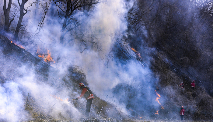 8일 경북 경주시 문무대왕면 입천리 산불 현장에서 산림청 산불재난특수진화대 대원들이 불길이 번지는 산비탈을 따라 이동하며 진화 작업을 벌이고 있다. 강한 바람 속에 연기와 화염이 뒤엉킨 가운데, 진화대원들은 최일선에서 주불 차단과 잔불 정리를 이어가고 있다.
이현덕기자 lhd@yeongnam.com