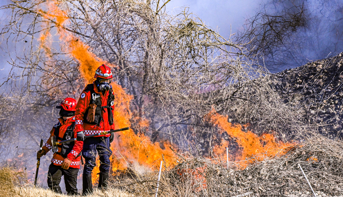 8일 경북 경주시 문무대왕면 입천리 산불 현장에서 산림청 산불재난특수진화대 대원들이 강한 바람과 불길 확산에 따라 안전 확보를 위해 한 발 물러서고 있다.
이현덕기자 lhd@yeongnam.com
