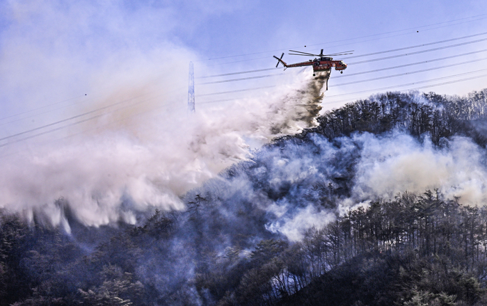 8일 경북 경주시 문무대왕면 입천리 산불 현장에서 진화헬기가 송전탑과 전선을 아슬아슬하게 피해 불길 위로 물을 뿌리고 있다. 강풍과 송전선로가 겹치며 공중 진화에 제약이 컸다.
이현덕기자 lhd@yeongnam.com