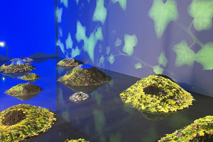 청문당 기획 전시 내가 너에게 스며들 때 모습.  <행복북구문화재단 제공>