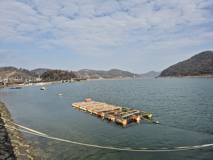 섬진강이 550리를 흘러와 남해와 만나는 기수역인 망덕포구 앞바다.