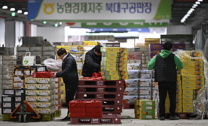 4일 오후 준공된 대구 북구 대구농수산물도매시장 농산A동에서 상인들이 경매에 낙찰된 과일을 포장하고 있다.
이윤호기자 yoonhohi@yeongnam.com