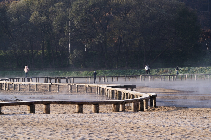 관광객들과 사진가들이 안개가 피어나는 무섬마을 외나무다리에서 사진 촬영을 하고 있다. 권기웅 기자