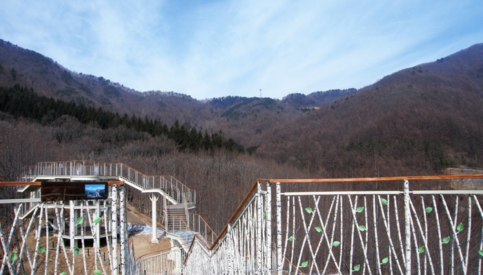 전망대에서 뒤돌아보면 울창한 덕유산이다. 빼재터널이 지나가는 자그마한 안부 아래 정수리만 보이는 오렌지색 건물은 백두대간생태교육장이다.