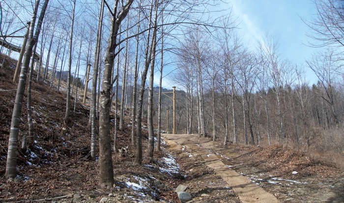 로프 클라이밍 뒤편에 어린 자작나무 숲이 있다. 백합나무도 여럿 보인다. 옆으로 빼재에서 흘러내려온 계곡물이 흐른다.