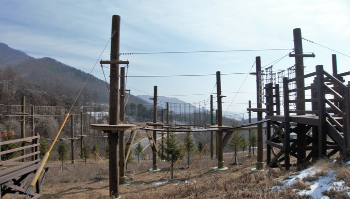 트리탑 주변에는 짚 코스터, 로프 어드벤처, 로프 클라이밍 등의 레포츠 시설이 넓게 분포한다.