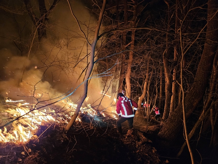 7일 밤 경주시 문무대왕면 입천리 야산에서 진화대원들이 잔불 확산을 막기 위해 불길 주변을 정리하며 진화 작업을 벌이고 있다. 경주시 제공
