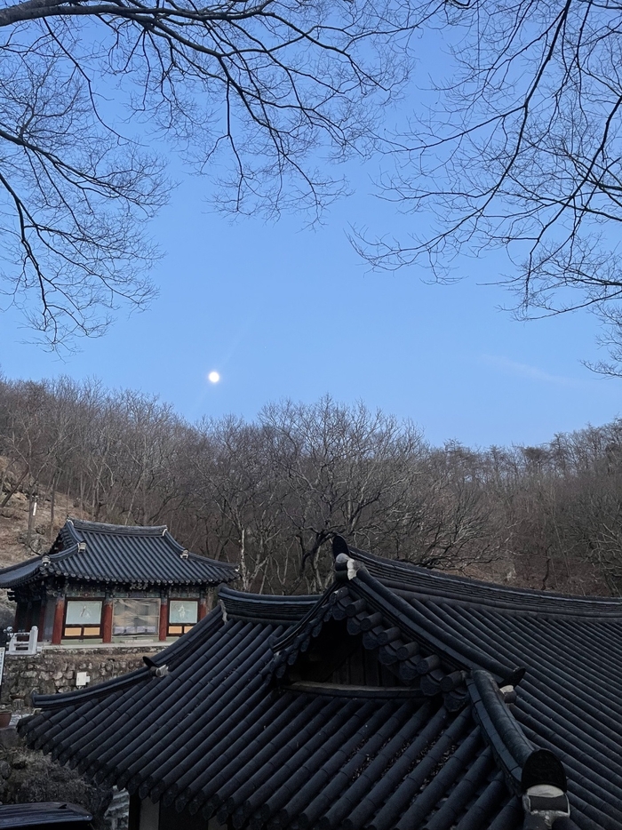 지난 2일 오후 1시쯤 포항 고석사에 낮달이 하늘에 떠있다. 강명주 시민기자