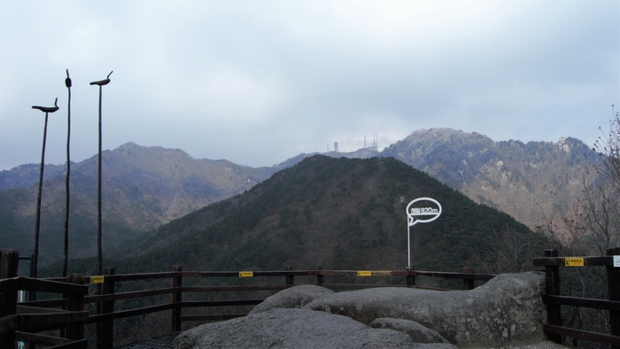 해발820m 신림봉전망대. 눈앞에 낙타봉이 짙다. 멀리 방송 중계탑이 서 있는 곳이 팔공산 정상인 비로봉이다. 좌우로 서봉, 톱날능선, 동봉, 염불봉이 이어진다.