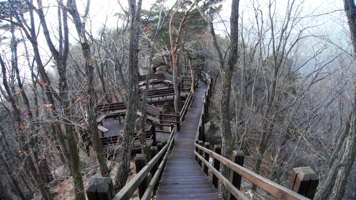 사랑터널을 지나 아래로는 러브가든이 이어진다. 꽃그늘 정자와 솔향기 정자, 사랑의 자물쇠 포토 존, 케이블카 뷰 전망대를 지나 피톤치드 쉼터까지 130m의 산책로다.