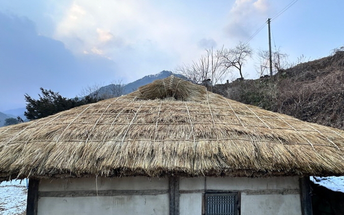 이엉으로 복원된 분천리 까치구멍집 초가지붕 상부 모습. 황준오기자