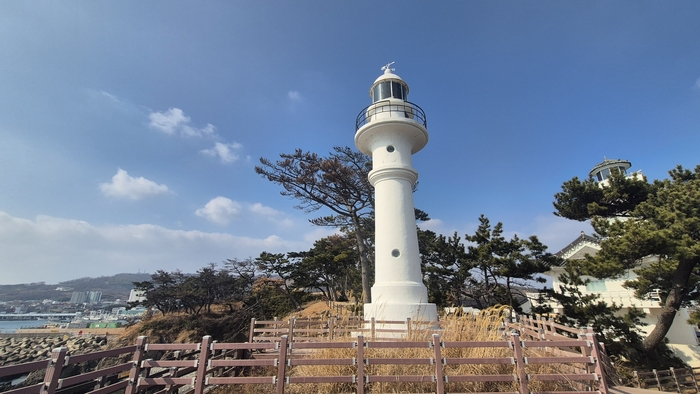 경주 감포 송대말 등대의 원통형 보조 등탑. 소나무 숲과 바다를 등지고 하얀 등탑이 서 있고 뒤로는 한옥형 등대 건물이 함께 자리한다. 장성재기자 blowpaper@yeongnam.com