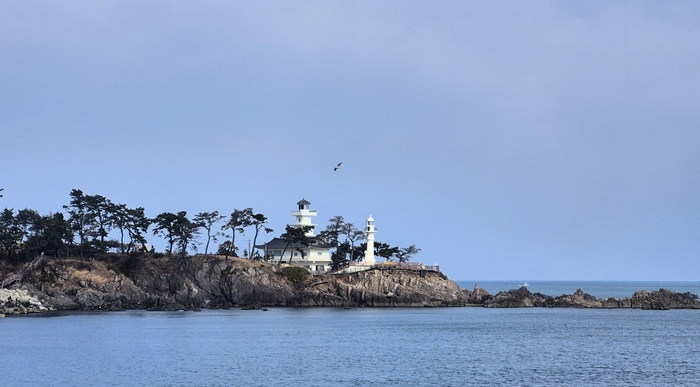경주 감포항 남방파제에서 바라본 감포 송대말 등대 전경. 감포항 앞바다를 내려다보는 소나무 숲 언덕 끝에 한옥형 주등(사각 등탑)과 원통형 보조 등탑이 나란히 서 있다. 장성재기자 blowpaper@yeongnam.com