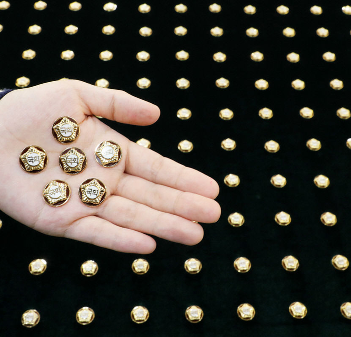 국회의원 배지. 영남일보DB