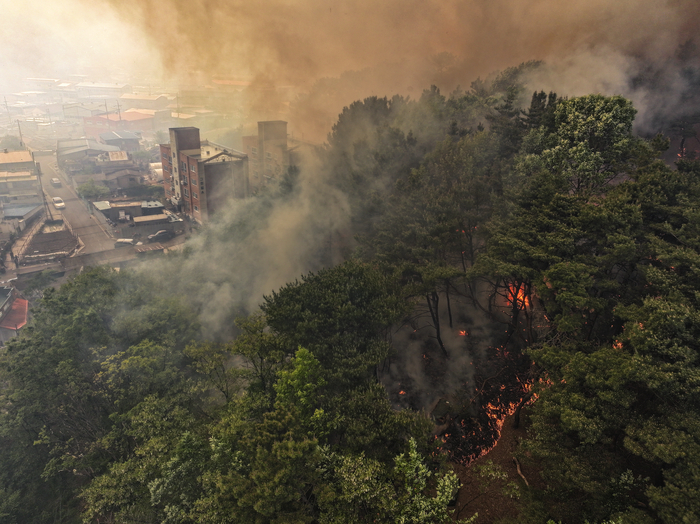 지난해 4월, 대구 북구 노곡동 함지산에서 발생한 산불이 인근인 조야동 민가까지 확산하면서 시민 안전을 위협했다. 연합뉴스