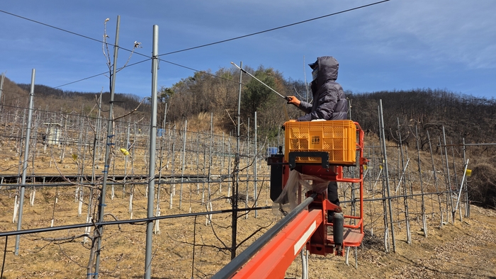 사과농사를 짓는 이부영 어르신은 1년 전 아픈 기억을 잊은 듯 올해 농사를 준비하기에 바쁜 모습이다. <정운홍 기자>